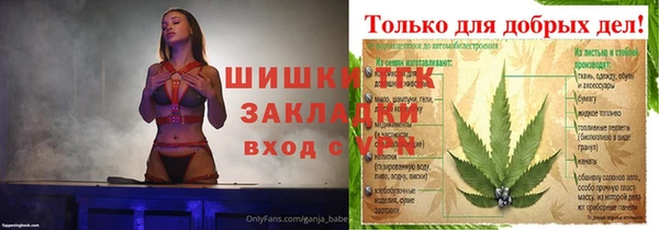 мдпв Михайловск